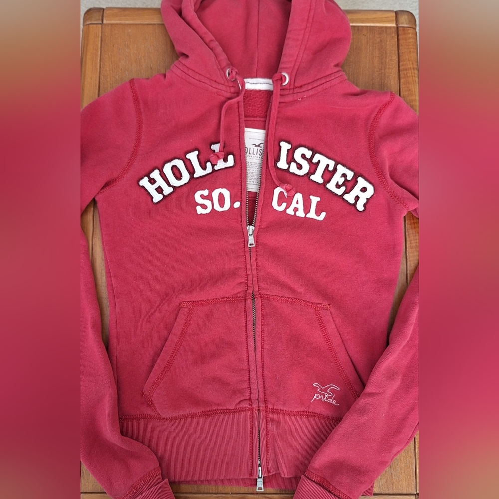 Vintage Hollister Y2K Hoodie Sweatshirt Pride Logo Puff Print SoCal Womens S Red